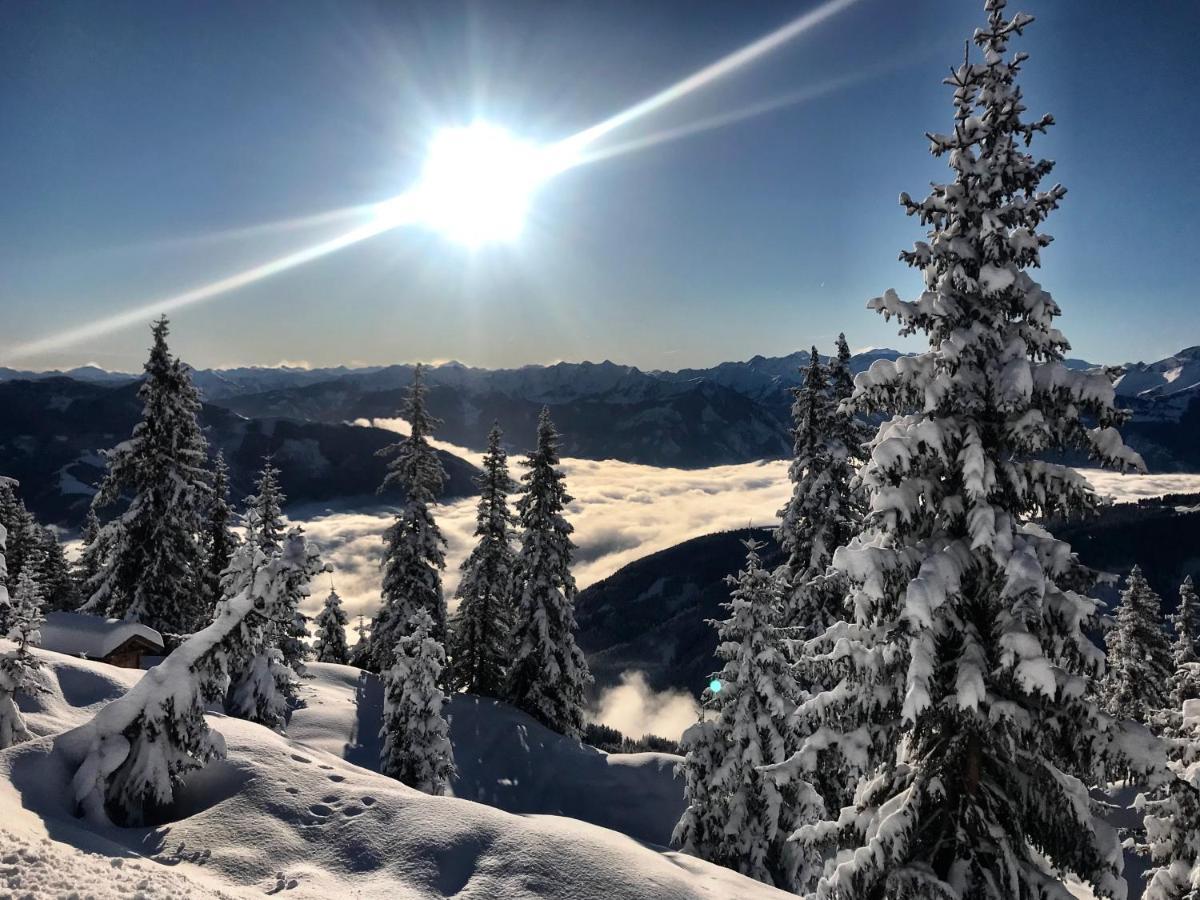 Landhaus Bergner Alm Брук-ан-дер-Гросглокнерштрасе Екстер'єр фото
