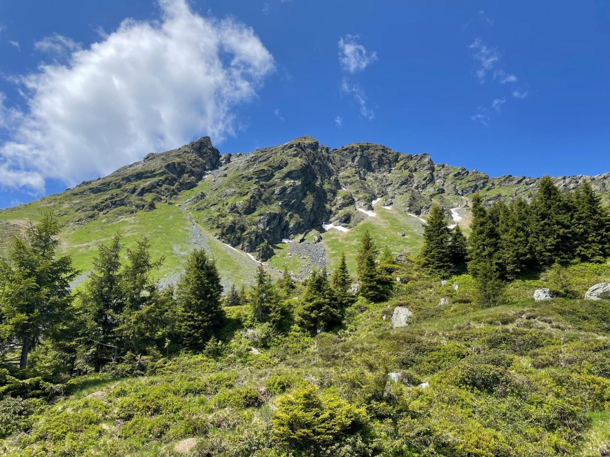 Landhaus Bergner Alm Брук-ан-дер-Гросглокнерштрасе Екстер'єр фото