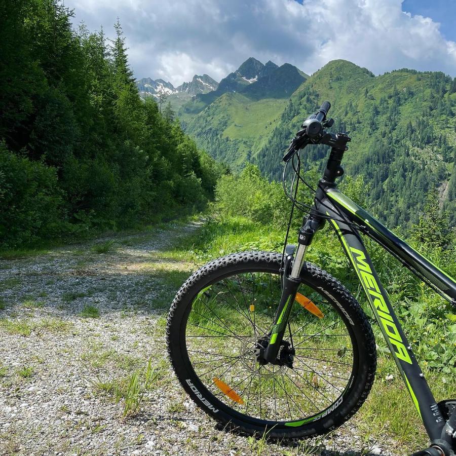 Landhaus Bergner Alm Брук-ан-дер-Гросглокнерштрасе Екстер'єр фото