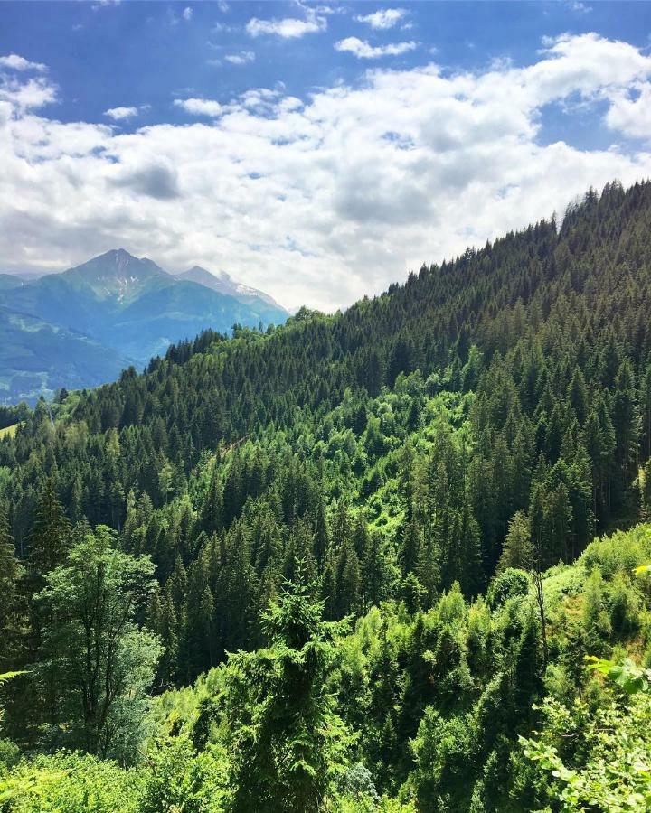 Landhaus Bergner Alm Брук-ан-дер-Гросглокнерштрасе Екстер'єр фото